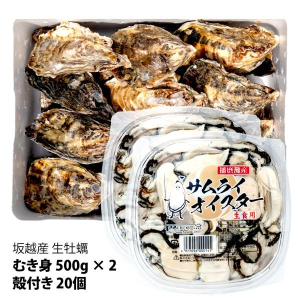 坂越牡蠣むき身500g×2 + 殻付20個セット★サムライオイスター★ 生食OK!臭みがなく食べやす...