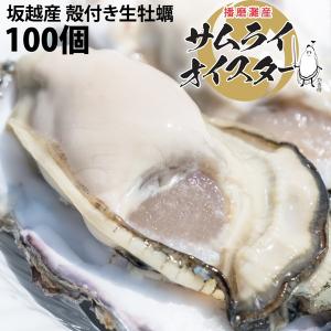 坂越産 殻付き 牡蠣100ヶ 生食OK★牡蠣の美味しいシーズン到来！臭みがなく食べやすい牡蠣♪【ぷりっぷりで新鮮！】　
