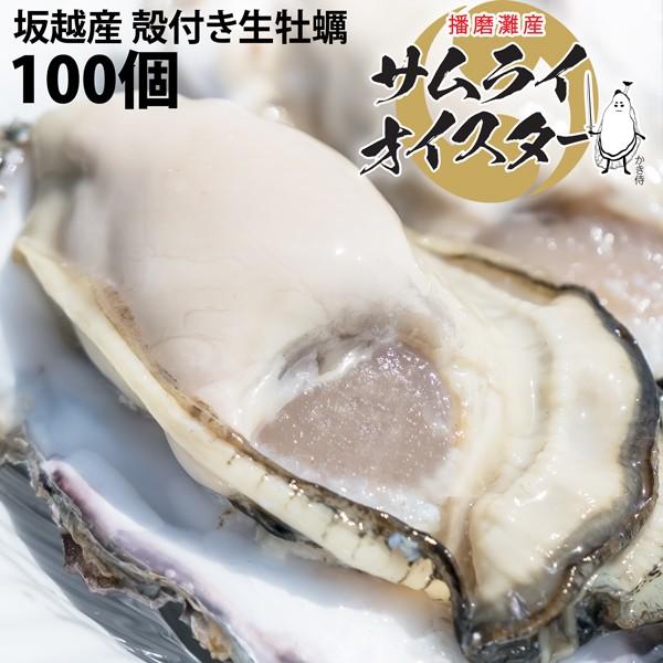 坂越産 殻付き 牡蠣100ヶ 生食OK★牡蠣の美味しいシーズン到来！臭みがなく食べやすい牡蠣♪【ぷり...