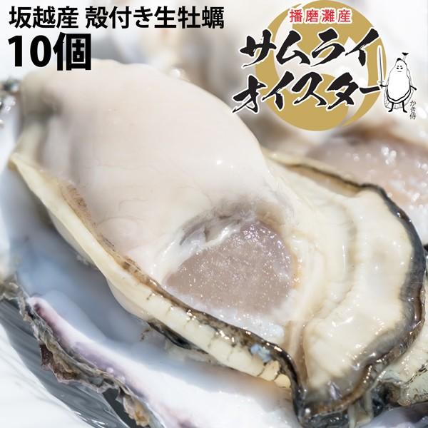 坂越産 殻付き 牡蠣10ヶ 生食OK★牡蠣の美味しいシーズン到来！臭みがなく食べやすい牡蠣♪【ぷりっ...