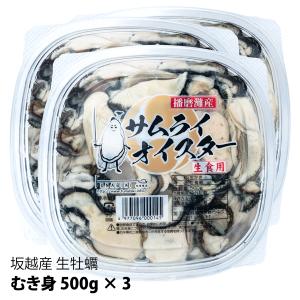 坂越産 生牡蠣むき身500g×3 サムライオイスター！生食OK  　１パック30粒前後★旨味たっぷり！甘くて濃厚★