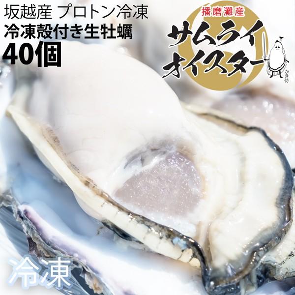 坂越かき　冷凍殻付牡蠣40個 (加熱用) ★驚きのぷりぷりで美味しい牡蠣♪ 熱を加えても縮まない魔法...