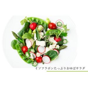 お試しセット【無添加・国産大豆100%】「生ゆ...の詳細画像2