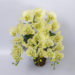 葉っぱ 植物 造花 リーフ フェイクフラワー グリーン 全16種 3個 2108