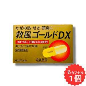 救風ゴールドＤＸの商品画像