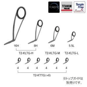 Fuji T-LRVTG129 ガイドセット トップガイド別売り Tカラー チタン