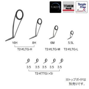 Fuji ショアGTツナ6号ガイドセット チタンTORZITE T2-RVTG40F9-6G-IS