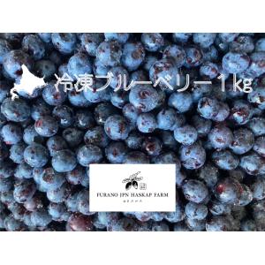 国産、無農薬の冷凍ブルーベリー1kg(500g×2) 農薬・除草剤不使用、洗い