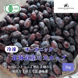 送料込】北海道産 冷凍ハスカップ 1Kg 冷凍フルーツ 業務用 家庭
