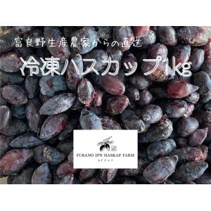 北海道の果実 令和7年収穫ハスカップ（冷凍）500g×2個 : フルーツ
