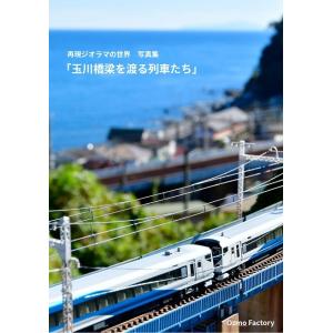 【800A】ジオラマ写真集　再現ジオラマの世界「玉川橋梁をわたる列車たち」｜ozmo-factory