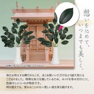 榊 造花 サカキ 2本セット 約35cm (枯...の詳細画像4