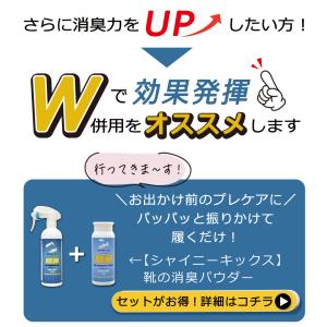 靴 消臭 除菌 スプレー 24時間ニオイブロッ...の詳細画像2