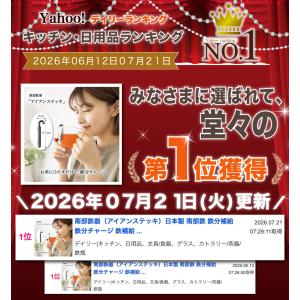 南部鉄器(アイアンステッキ)日本製 南部鉄 鉄...の詳細画像1