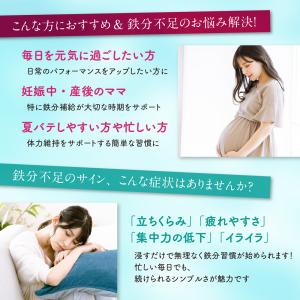 南部鉄器(アイアンステッキ)日本製 南部鉄 鉄...の詳細画像2