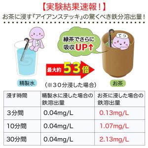 南部鉄器(アイアンステッキ)日本製 南部鉄 鉄...の詳細画像4