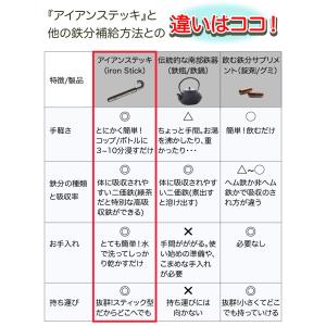 南部鉄器(アイアンステッキ)日本製 南部鉄 鉄...の詳細画像5