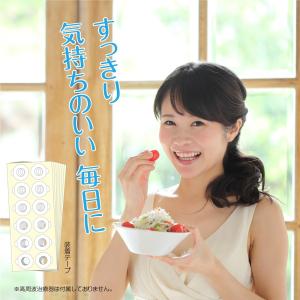 装着テープ 288枚 (高周波治療器専用 装着...の詳細画像5