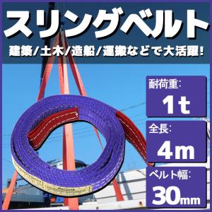 スリングベルト 4m 幅30mm 使用荷重1t ...の商品画像