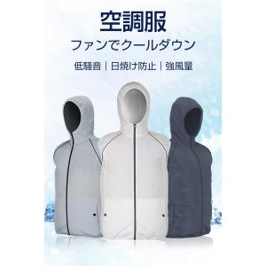 空調服ベスト セット ゴルフ ワークマン コート 4l