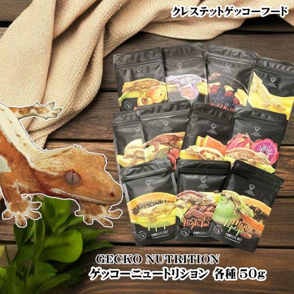 【ゲッコー用栄養補助】ゲッコーニュートリション 50g 各種｜爬虫類の健康サポートメール便OK】【レ...