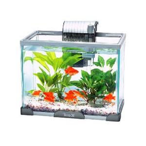 テトラ金魚メダカ飼育セットａｇ ３１ｇｆ ７３２６０