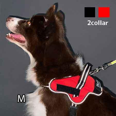 ペティオ犬用胴輪イージーウェアハーネスM【レターパックプラスOK】