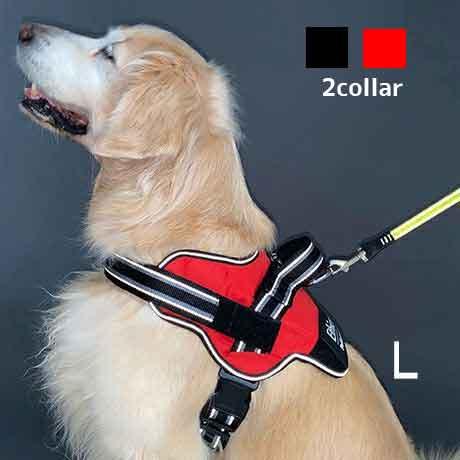 ペティオ犬用胴輪イージーウェアハーネスL【レターパックプラスOK】