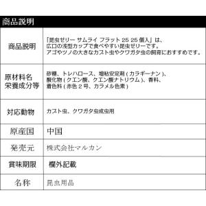 マルカンサムライフラット25F-21 昆虫の詳細画像1