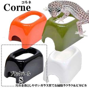 ゼンスイＣｏｒｎｅコロネウェットシェルターコルネＳブラックパール　爬虫類　シェルター