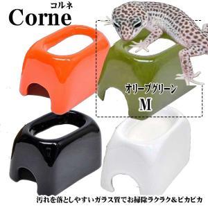 ゼンスイCorneコロネウェットシェルターコルネSスノー 爬虫類