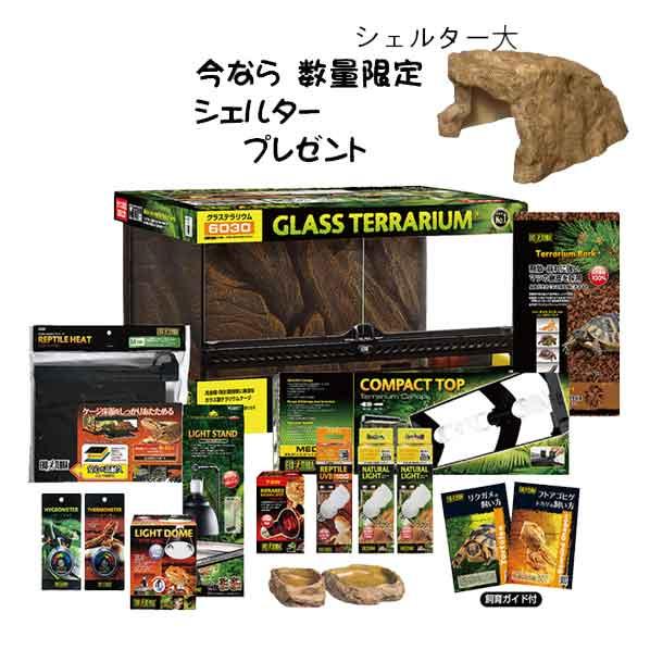 【初心者向け】フトアゴヒゲトカゲ＆リクガメ飼育セットAセット｜ジェックス製ケージ＋UVライト・保温・...