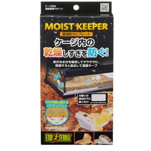 自動ミスト加湿器】モンスーンソロ｜カメレオン・樹上性爬虫類に最適
