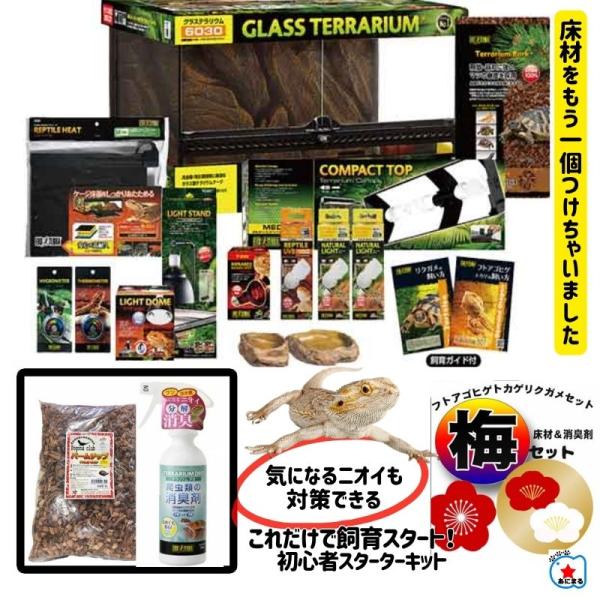 【フトアゴヒゲトカゲリクガメ 飼育セット梅】ギリシャリクガメ・ヘルマンリクガメ｜保温・紫外線ライト完...