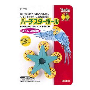 7月22日入荷【フトアゴヒゲトカゲリクガメ 飼育セット竹】PRO初心者
