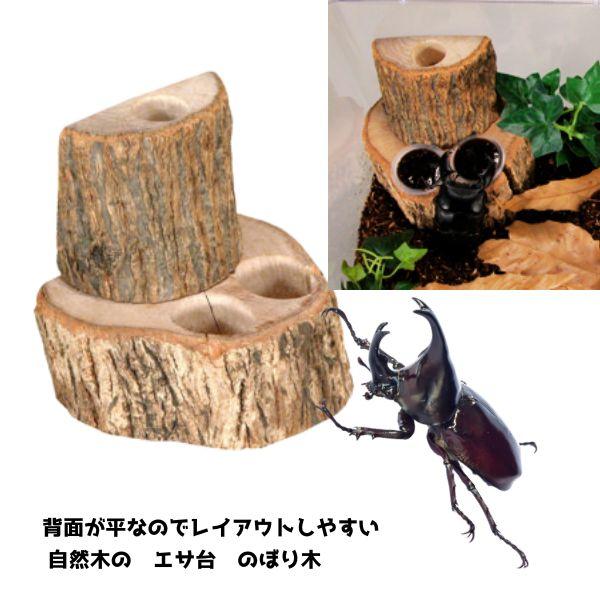 自然木のぼり木遊び場|昆虫のエサ台【レターパックプラスOK】