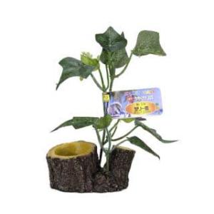 三晃商会オカヤドカリのゼリー皿　574【レターパックプラスOK】