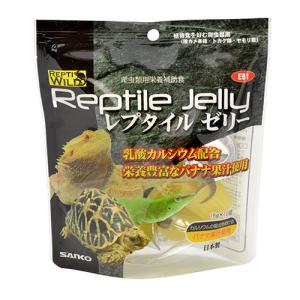 三晃商会レプタイルゼリー10個入り【レターパック...の商品画像