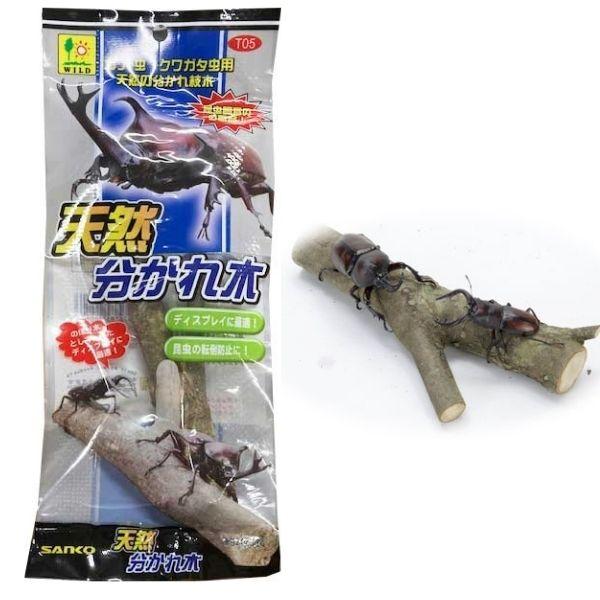 カブト虫・クワガタ|三晃商会天然分かれ木【メール便OK】【レターパックプラスOK】