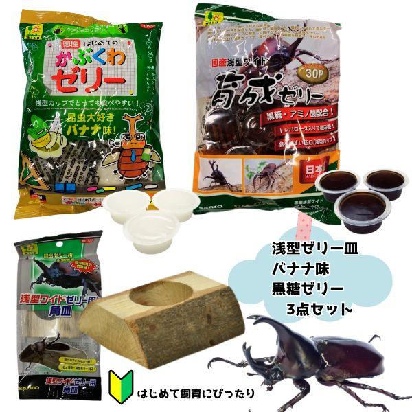浅型カップ　昆虫ゼリー|三晃商会2種類のゼリーとゼリー皿セット【レターパックプラスOK】