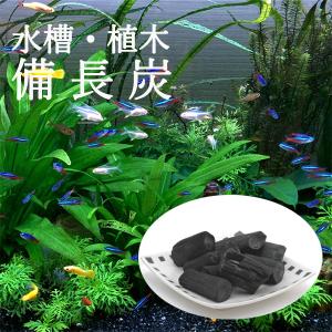 炭の土壌改良 フィルター ポンプ ろ材 水槽 アクアリウム用品 の商品一覧 熱帯魚 アクアリウム用品 ペット用品 生き物 通販 Yahoo ショッピング