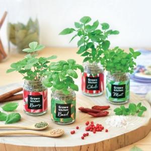 ボトルハーブス 栽培キット 発芽保障  ワイルドストロベリー