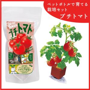 ペットボトル 栽培セット プチトマト グリーントイ 家庭菜園