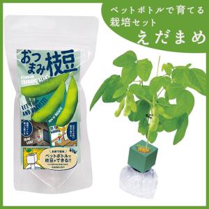 えだまめ 栽培 セット キット 家庭菜園 えだまめ栽培セット 聖新陶芸 Sei Gd215 町の小さな雑貨屋さんアポン Apoml 通販 Yahoo ショッピング
