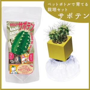 ペットボトル 栽培セット さぼてん サボテン グリーントイ 家庭菜園 簡単 野菜 果物 水耕栽培 水道水 送料無料｜p-comfort