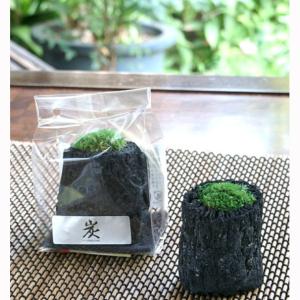 サイズ小 運気アップ インテリア 消臭 炭苔 プリザーブド