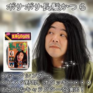 (1点までメール便も可能) ボサボサ長髪かつら       /カツラ ウィッグ コスプレ イベント フォークシンガー ヘビメタ オタッキー (C-0507_453244)