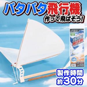 3点までメール便も可能) パタパタ飛行機 /ゴム飛行機 子供 飛行機