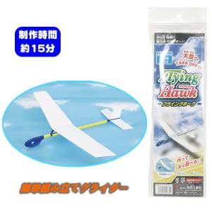 AOZORA（アオゾラ） あおぞら ホワイト ウイングス レーサー 541S 高