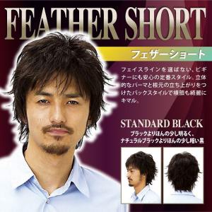 ヘアネット付 ラパンドアールオム ショートレイヤー ナチュラル